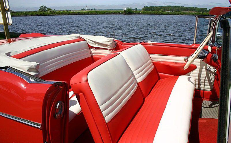 5495845611201218711-jpg